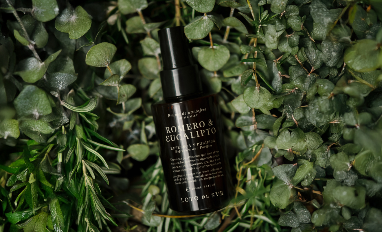 image of romero & eucalipto