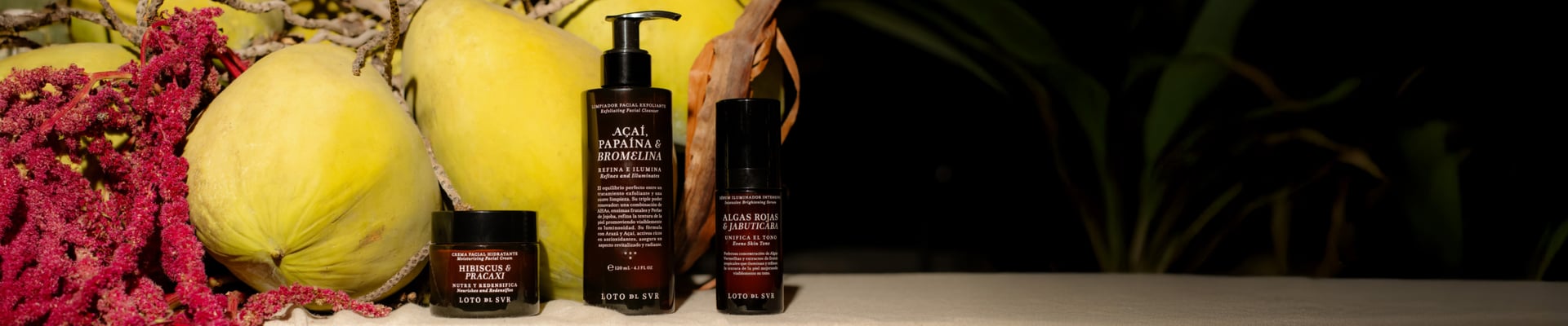 image of 3 products and some books