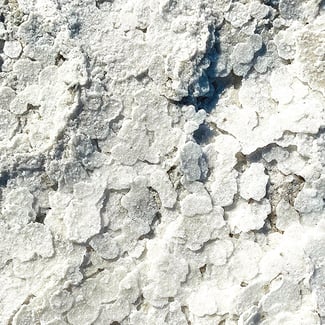 Lotto SAL DE MANAURE Ingredient Image