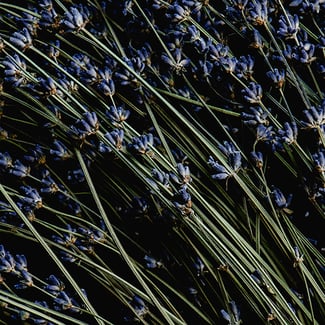 Loto Lavanda Ingredient Image
