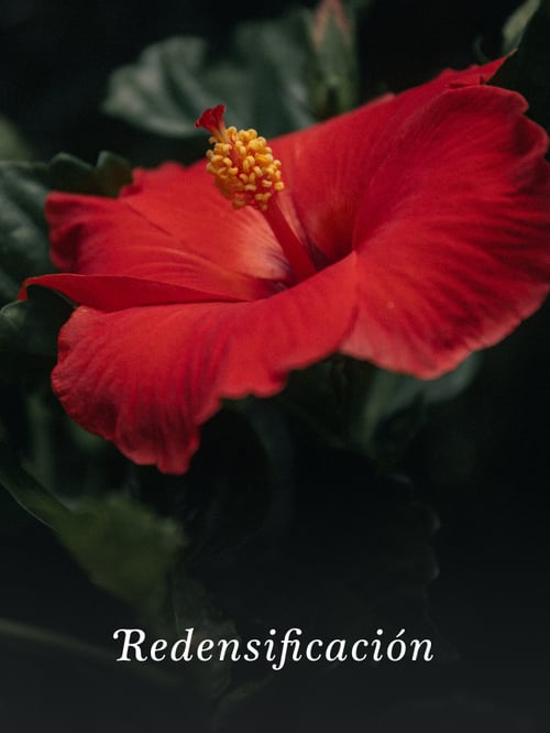 LDS 04 CR FACIAL HIBISCUS 45ML