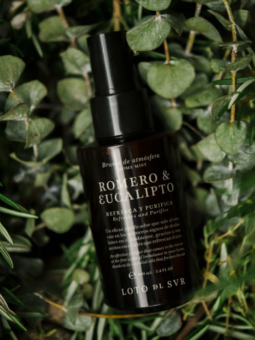 LDS 23 BRUMA ATMO ROMERO EUCALIPTO 100ML