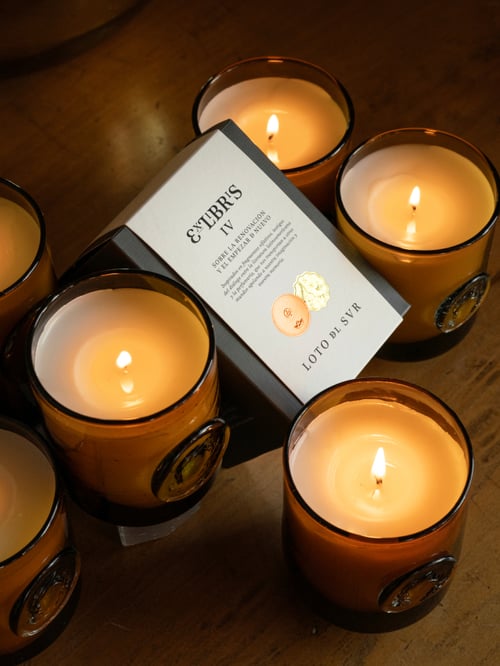 LDS 74 VELA ART​ EXLIBRIS IV​ 283GR