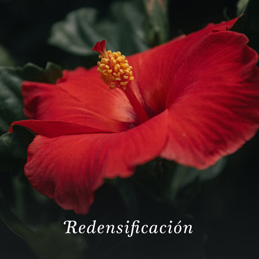 LDS 04 CR FACIAL HIBISCUS 45ML