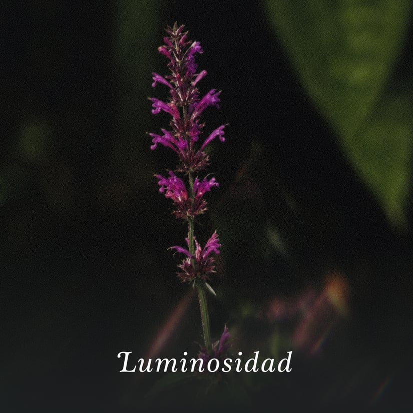 LDS 45 LIMPIADOR FAC NOBLE UCHUVA 120ML