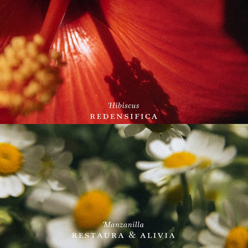 Ritual Naturaleza Serena